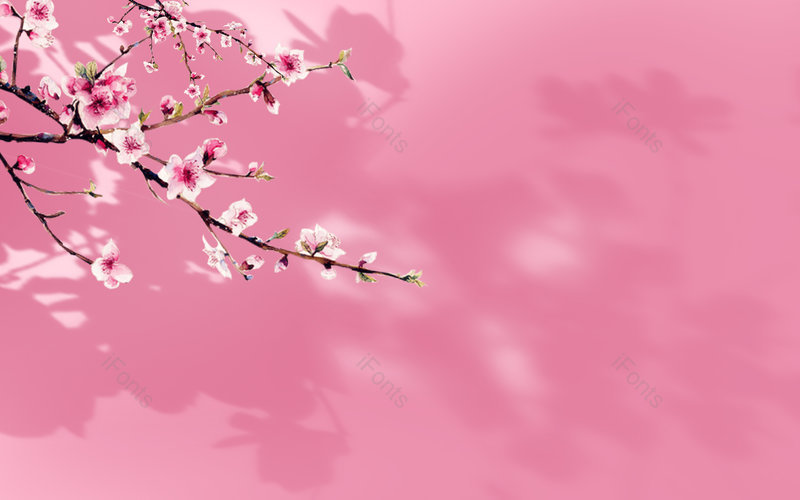 文艺|清新